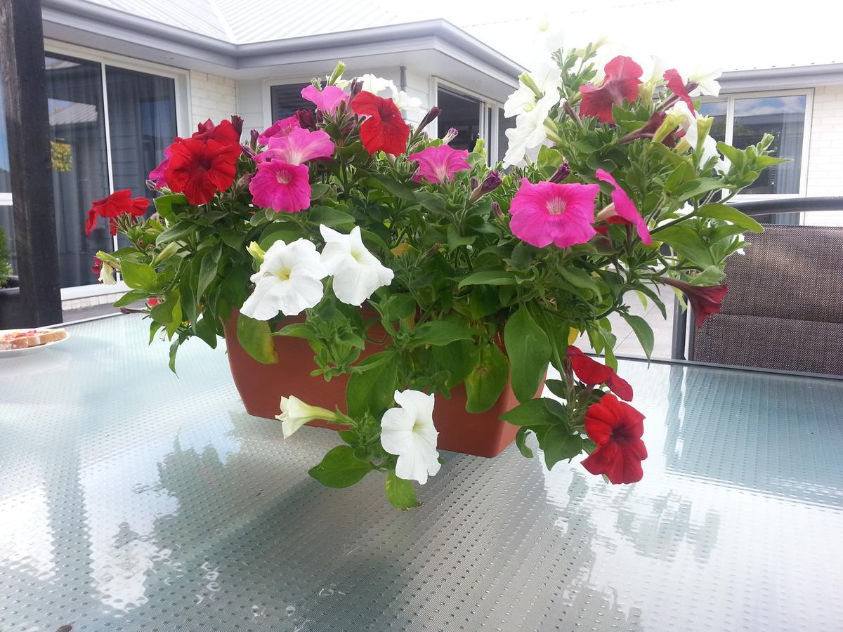 Courtenay B & B Kaiapoi Εξωτερικό φωτογραφία